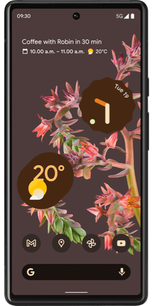 Pixel 6